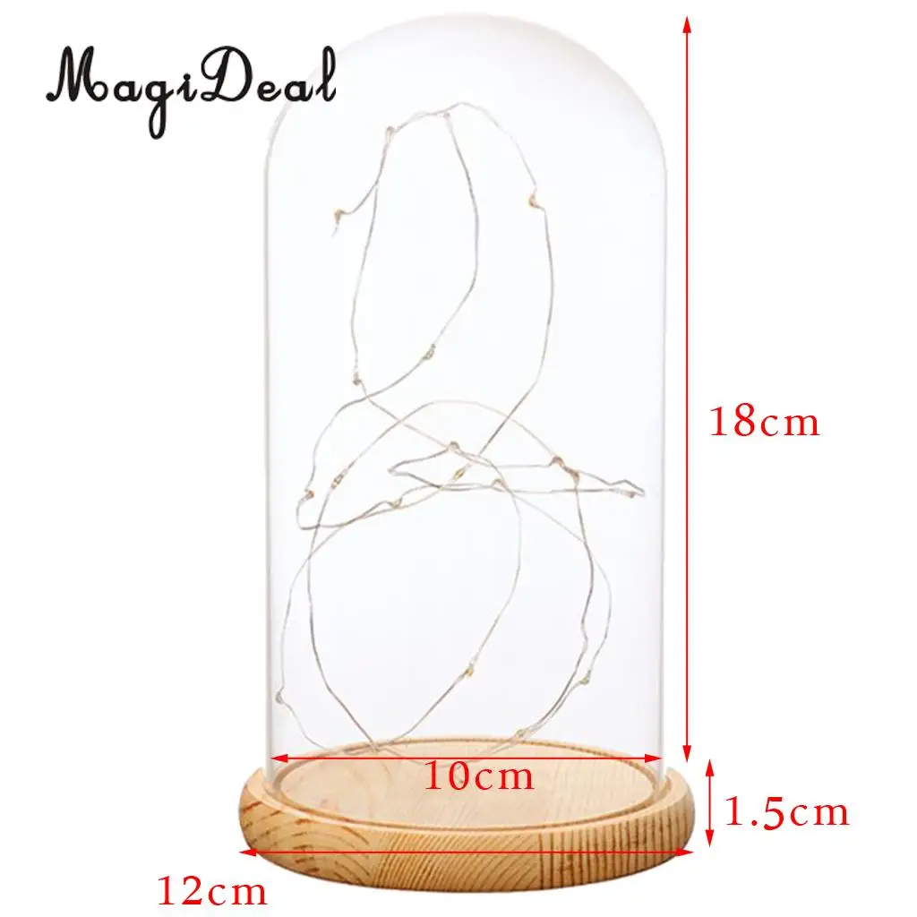 Glass Display Dome Cloche With Suspended LED Lights Tabletop Lamp Wedding Holiday Decor Crafts