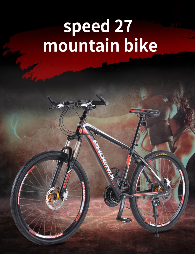 phoenix mountain bike price