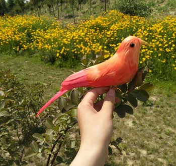 

about 22cm colourful feathers bird artificial bird handicraft,prop,home garden decoration gift p2764