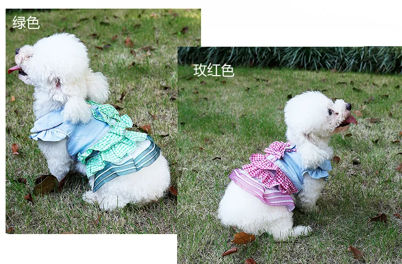 PD10031-_03