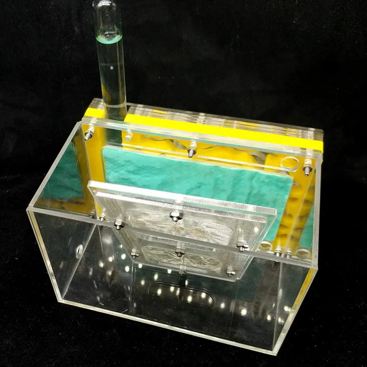 Большой доступный DIY влагопоглощающий участок для кормления Муравьиное гнездо