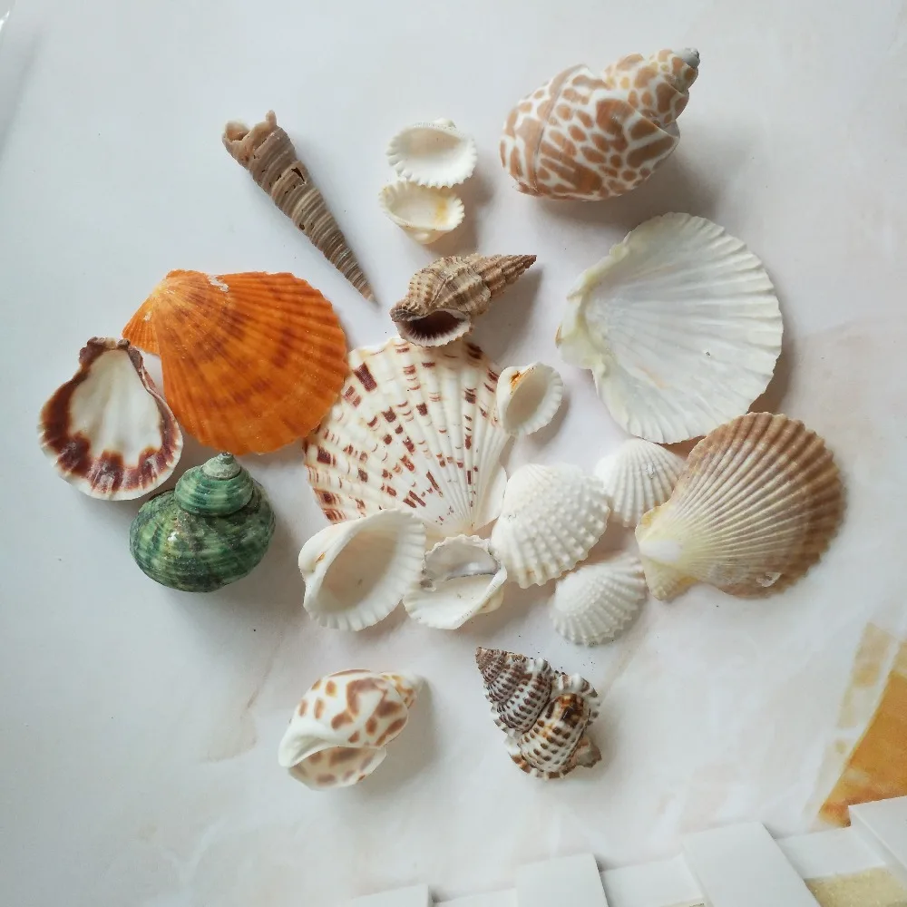 Морская ракушка, натуральная морская звезда, морская раковина, 100 г, модное украшение, пляжная мода, ракушки для поделок, Декор