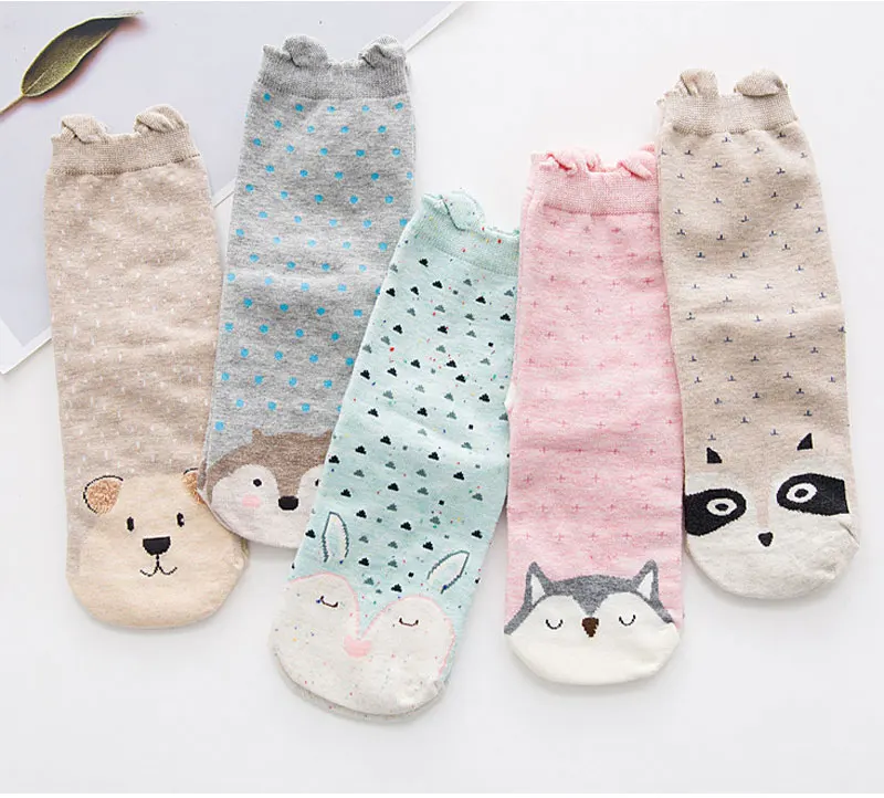 socks_01