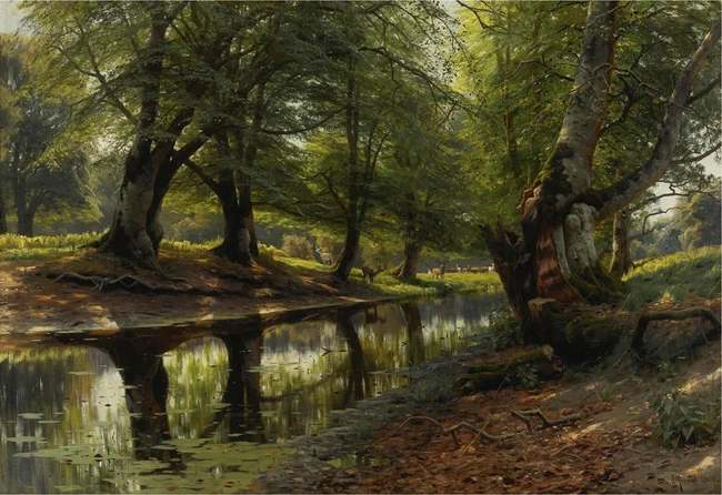 DS6-46 