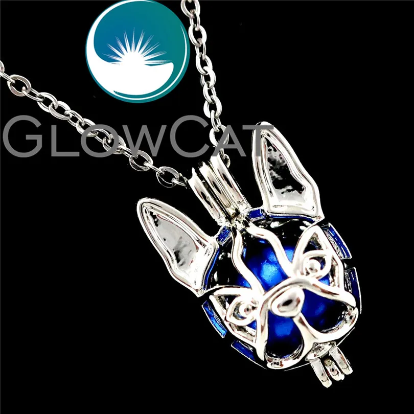 GLOWCAT R-K690 собака Бостон терьер бусины клетка кулон эфирных масел аэрозольный