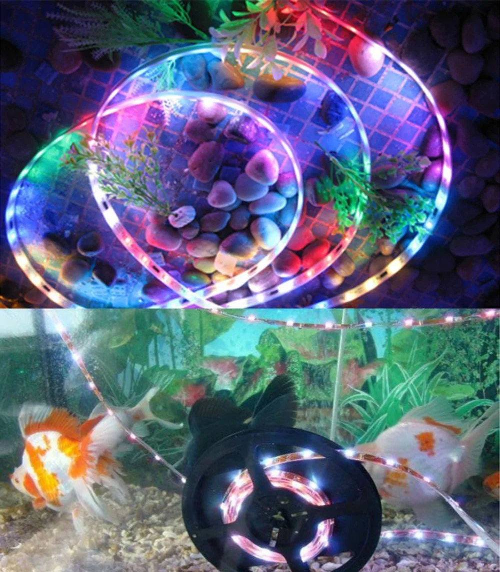 CHINCOLOR WS2811 Led Strip 5M IC Vedio show addressable individually ip30 waterproof 5050 RGB SMD 30 60 ledm 3 options  DA (11)