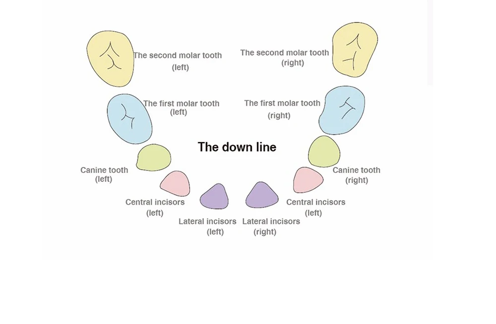 C-_Users_mily_Desktop__10