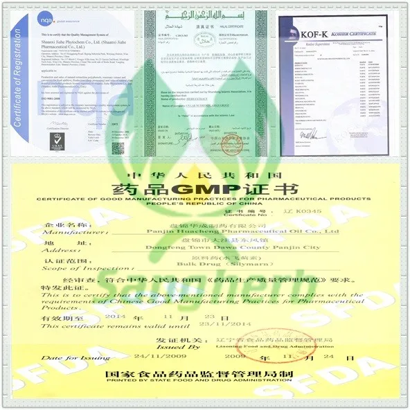 Высокое Качество Чистый Экстракт кверцетина 98% UV/95% HPLC для 500 грамм