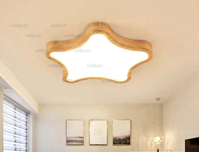 ceiling light  (9)