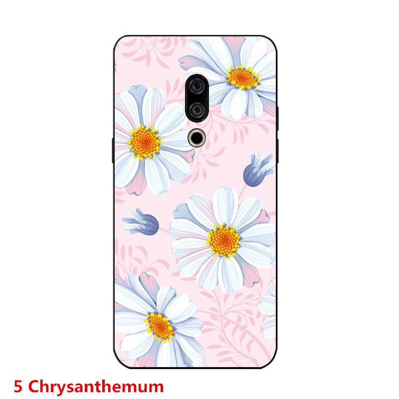5 Chrysanthemum