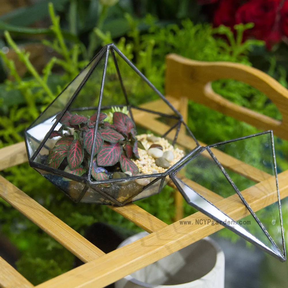 Description Picture 3 of itemClassic Octahedral Bonsai Pot Tabletop Succulent Pot Geometric Glass Terrarium Plants Planter Balcony Flower Pot Decorative