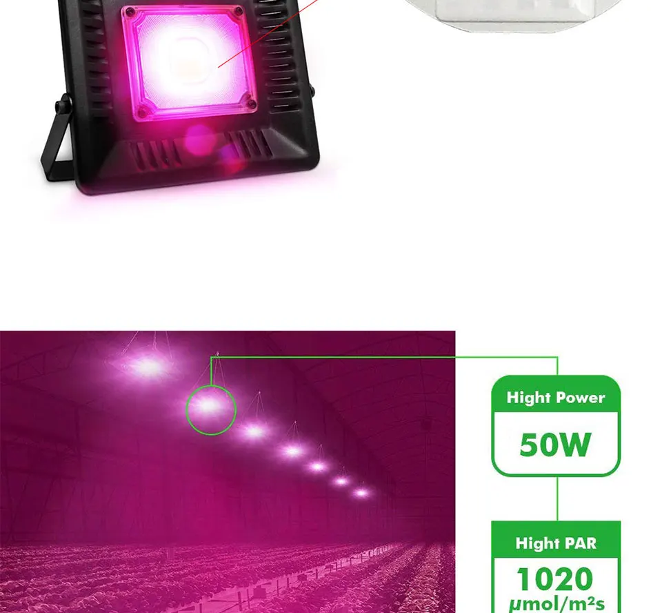 AC 110V 220V Driverless COB Plant Growing Lamp 20W 30W 50W Full Specturm Smart IC COB Chip LED Plant Grow Light Feeding Bulbs (18)
