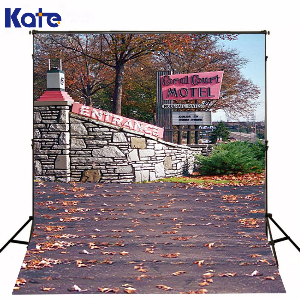 

300Cm*200Cm(About 10Ft*6.5Ft) Fundo Deciduous Road Signs3D Baby Photography Backdrop Background Lk 1930