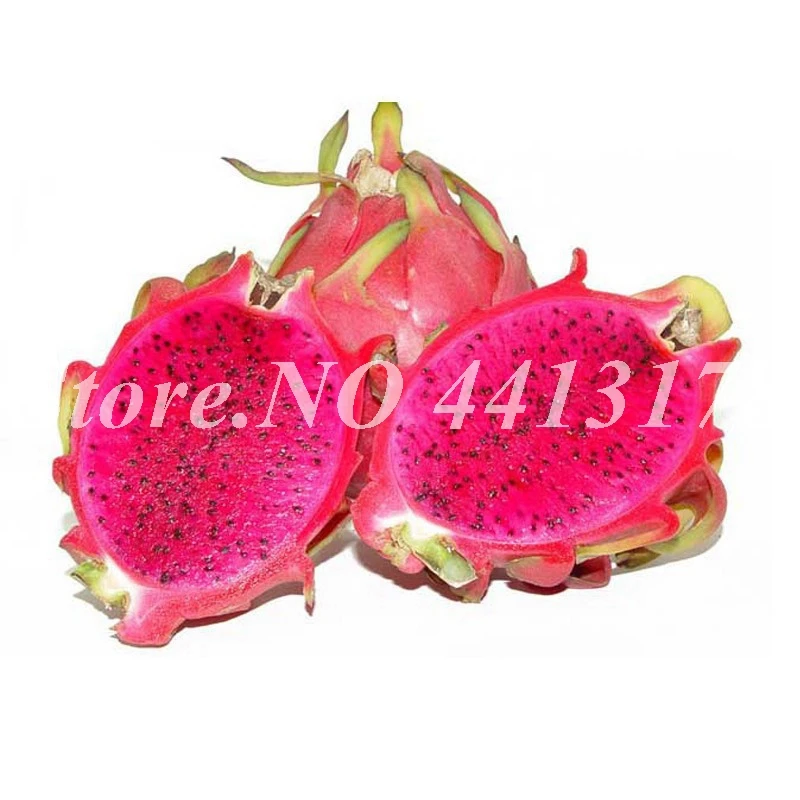 1000 Pcs Bag Red Pitaya Bonsai Dragon Fruit Garden Potted Tree