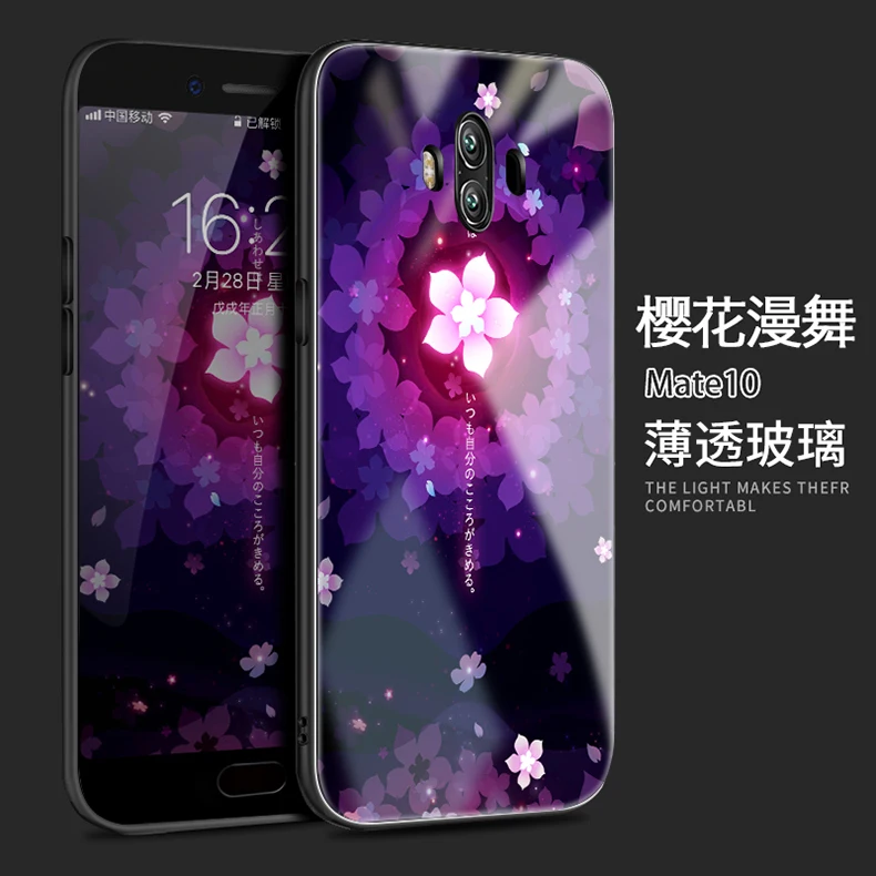 mate 10 (5)