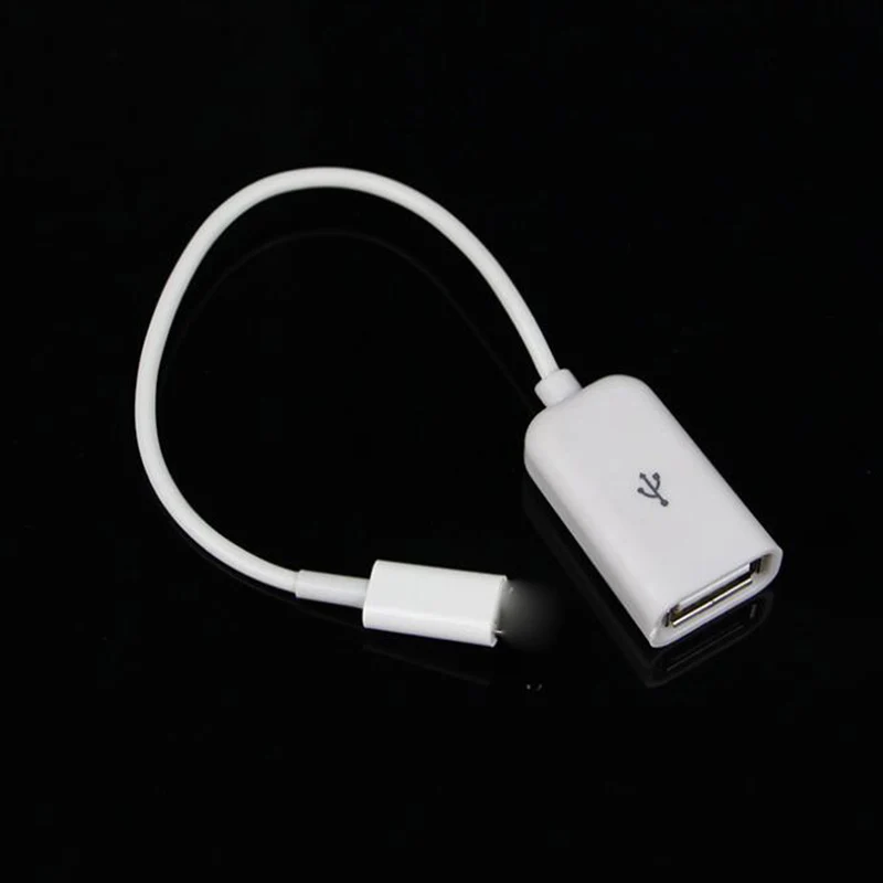 Usb iphone 5. USB OTG iphone. Переходник OTG Lightning на USB. Lightning OTG адаптер для iphone. OTG Type c для айфона.