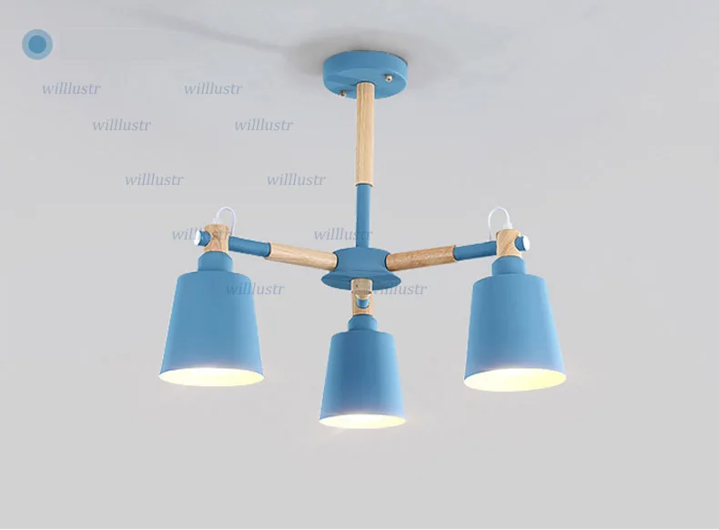 ceiling light (8)