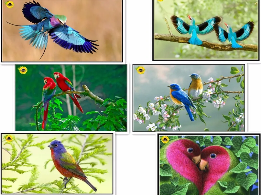 DIY 5D алмаз вышивать природы и птицы ручная Алмазная мозаика религиозных