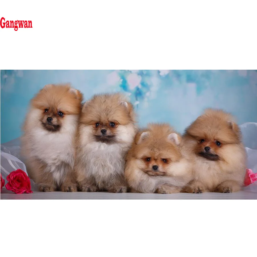DIY Diamond Painting Cross Stitch Pomeranian Dog Needlework 5D Diamond Mosaic Painting cute pet Full Diamond Embroidery