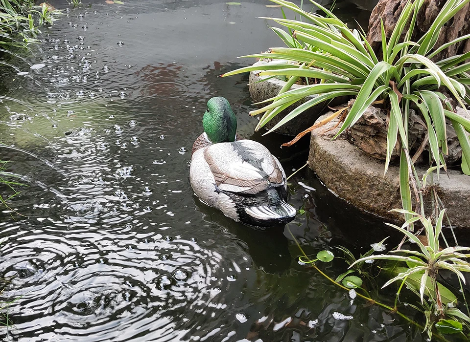 14 в Mallard с короткой головкой Дрейк утка приманки Манки для охоты на уток 3D PE открытый резиновая уточка 1 шт. украшение для бассейна сада