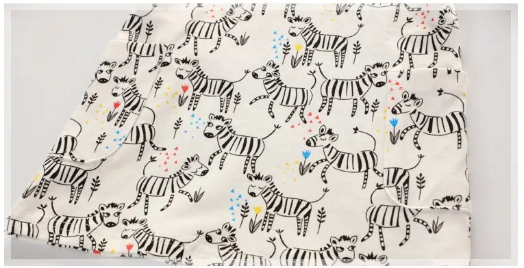 zebra12