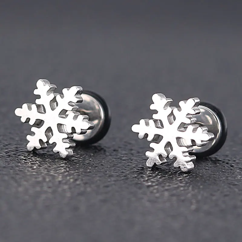 Titanium Steel Earrings