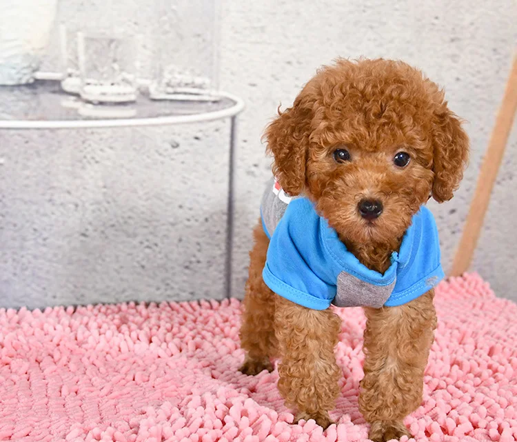 9007022350_919338936