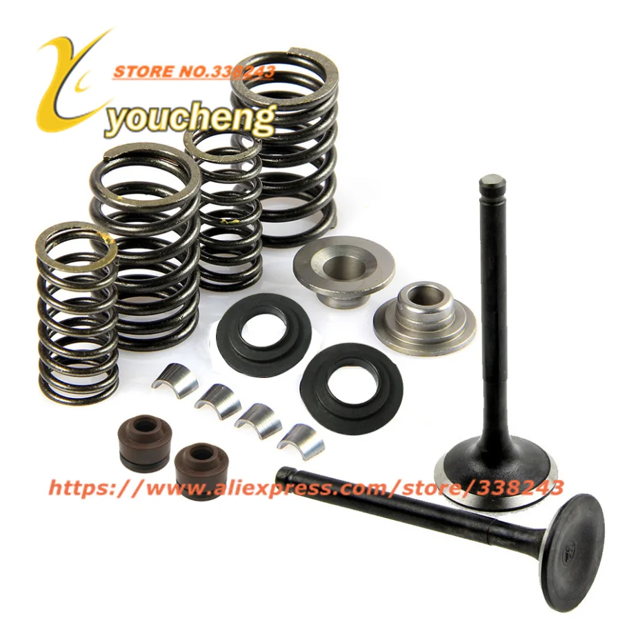 Buy CF250 172MM Valve Spring Assembly Cylinder Head