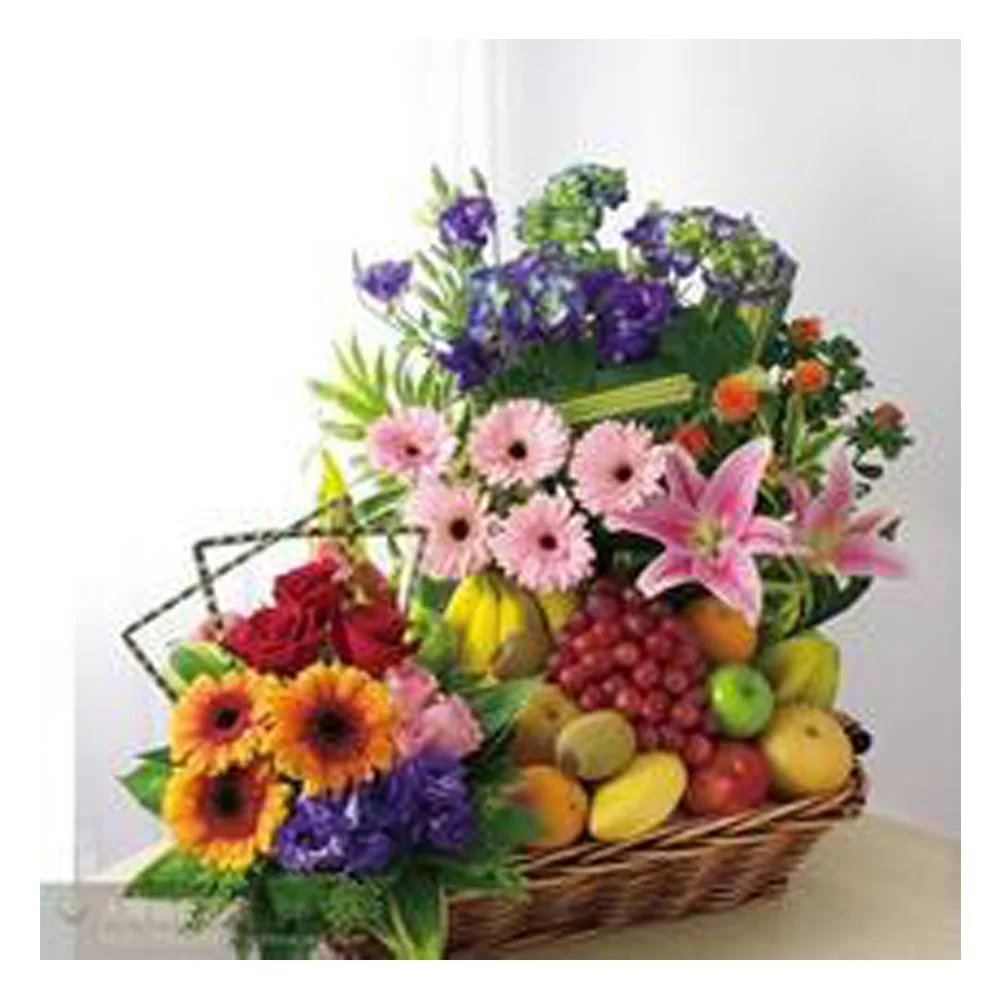 Peter ren Full Diamond embroidery flower Diy Diamond painting Fruits