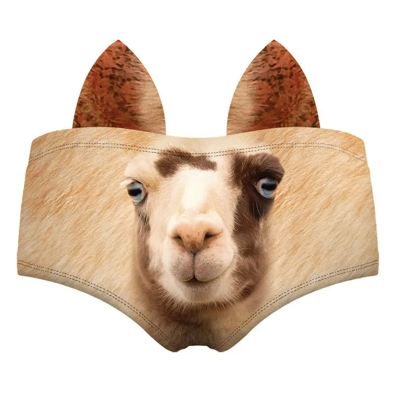 55460 LLAMA wiz back