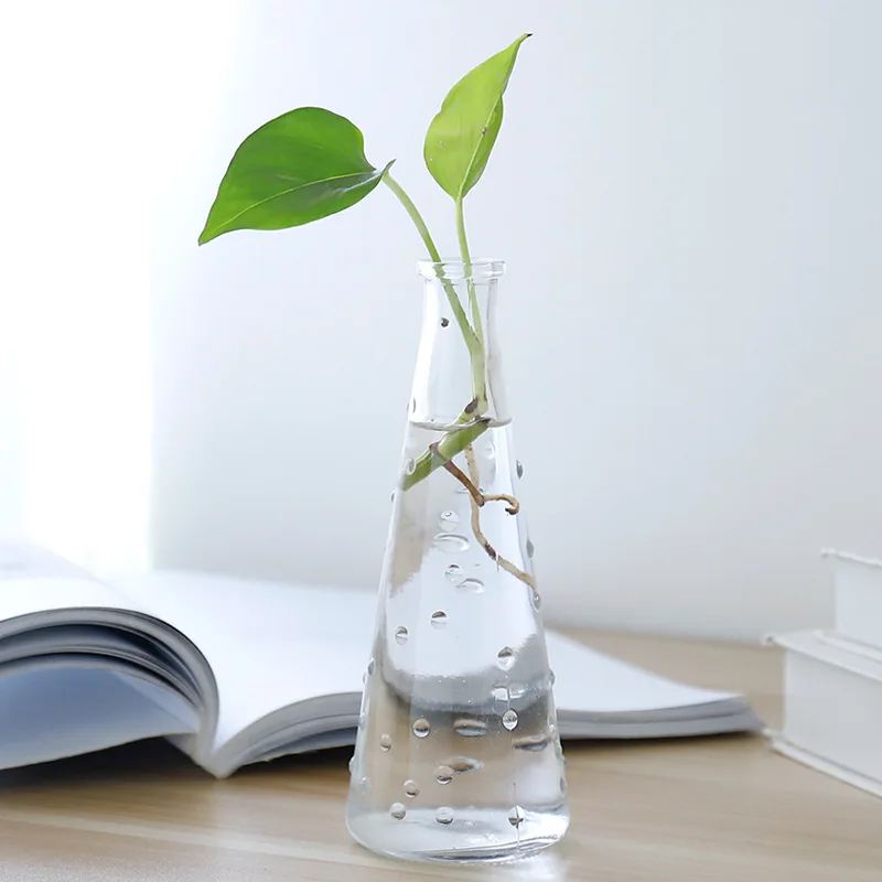 18*7cm High Quality Nordic Simple Water Planting Flower Vase, Transparent Glass Vase, Dried