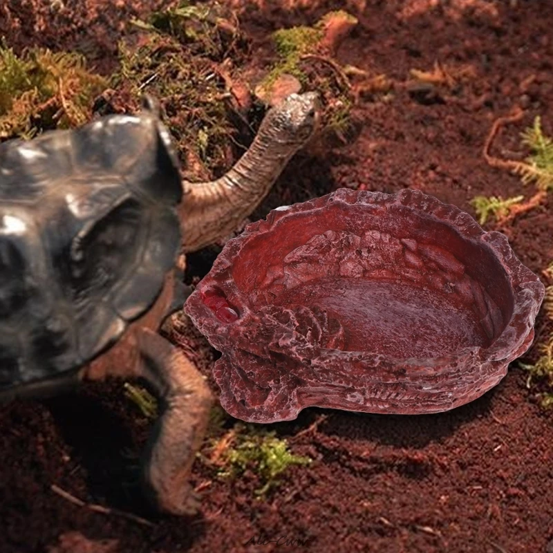 

Terrarium Reptile Turtle Feeder Food Water Feeding Bowl Resin Aquarium Ornament Scorpion