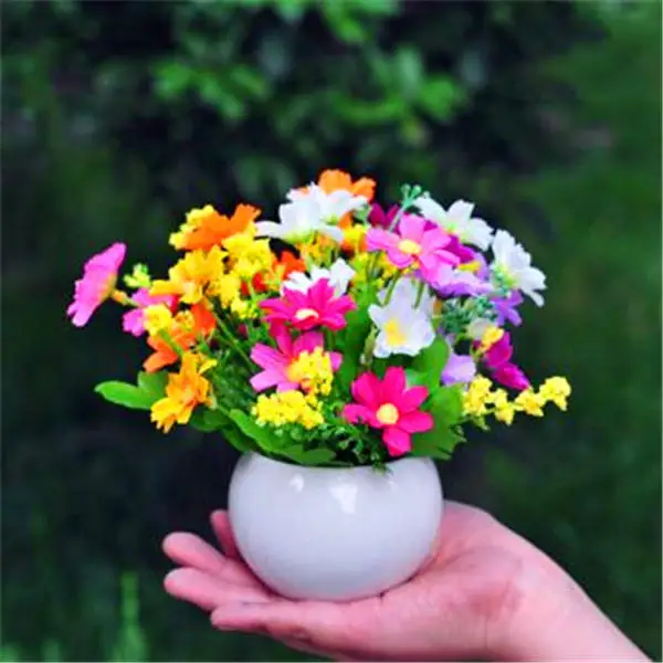 

sale! Rainbow Chrysanthemum 100 / bag beautiful chrysanthemum bonsai flower natural plant home garden decoration free shipping