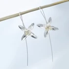 aeProduct.getSubject()