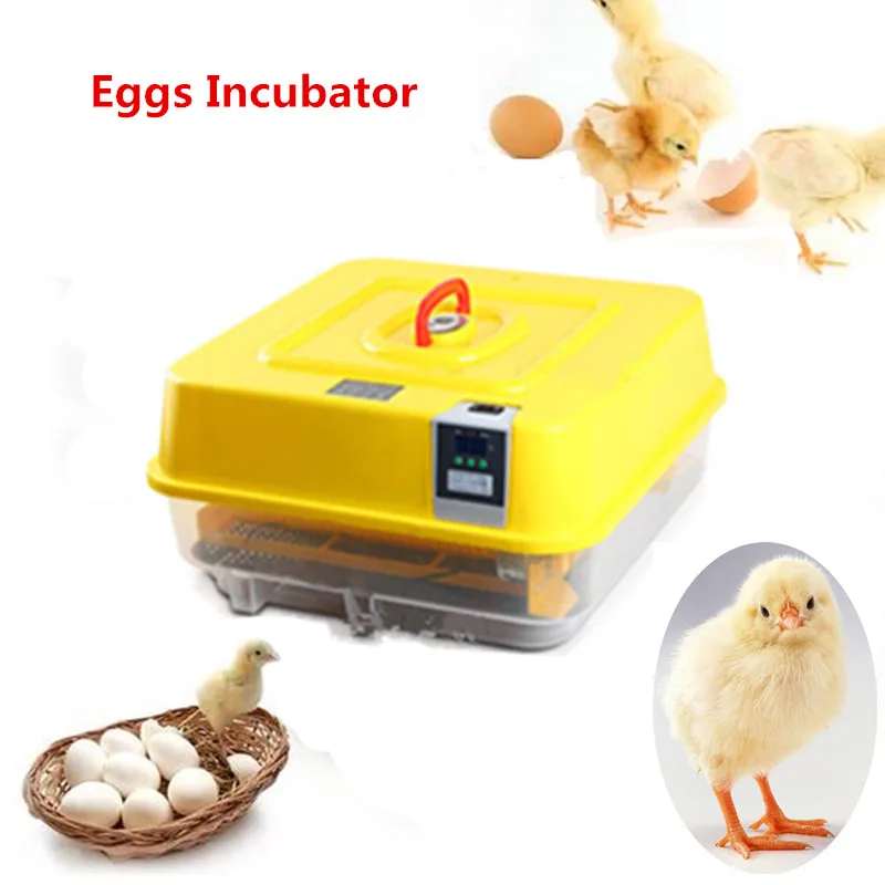 Chicken Eggs Incubator Industrial for Chicken Automatic Hatching Machine with Temperature Control Poultry Brooder Chicken Eggs Incubator Industrial for Chicken Automatic Hatching Machine with Temperature Control Poultry Brooder