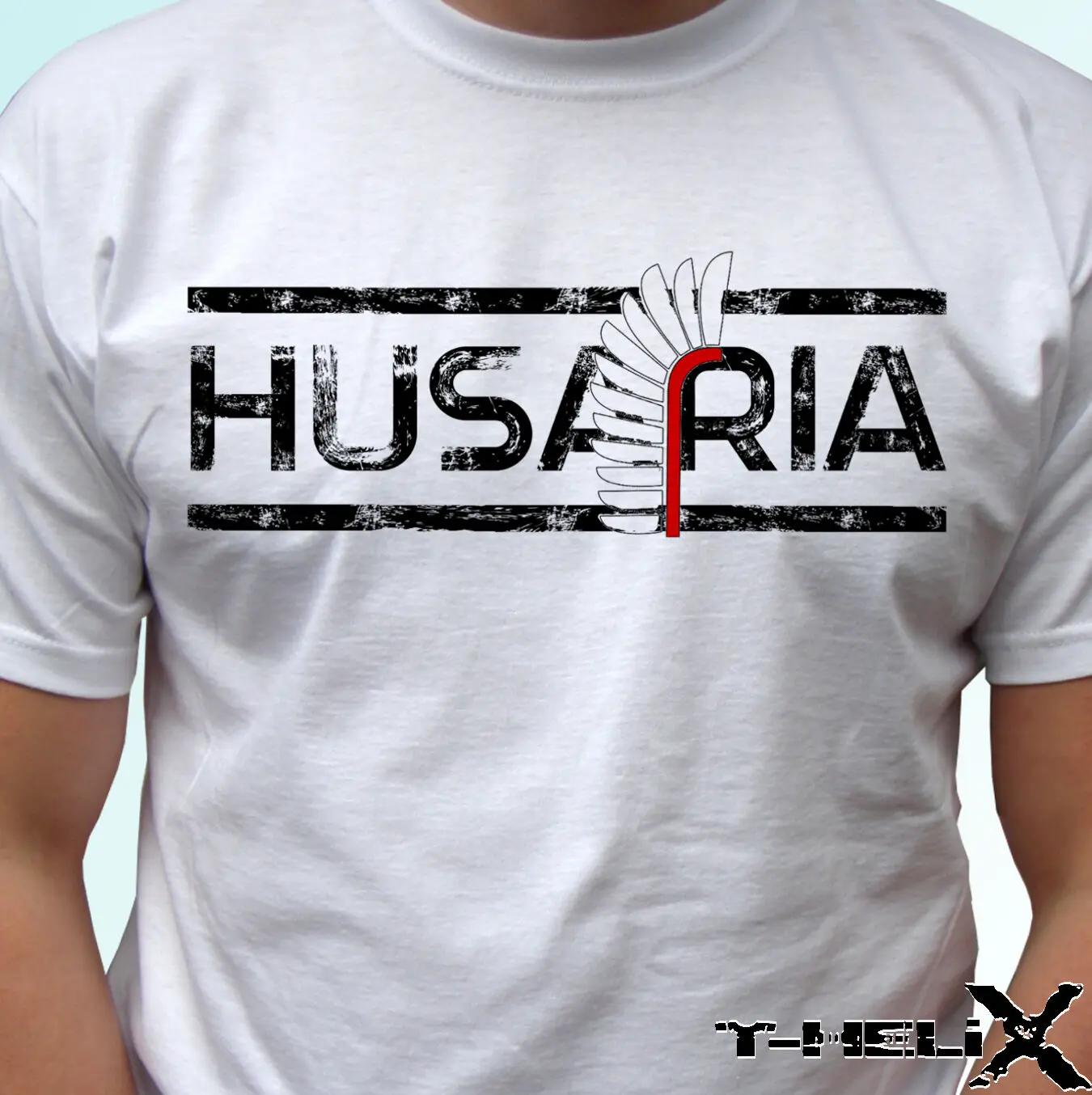 Husaria logo-polsky koszulka Poland flag футболка топ Polski-все размеры 2019 модная из 100% хлопка |