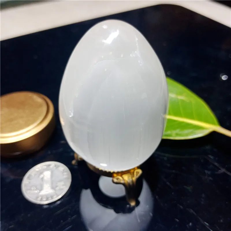 IMG20190224103440