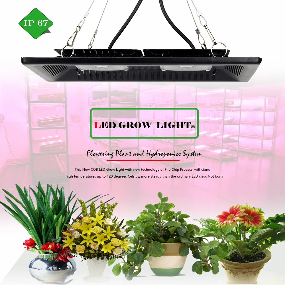 COB-LED-grow-light1jpg