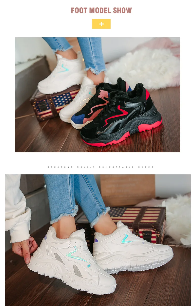 ZL- (3).jpg