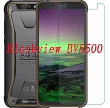 Smartphone 9H Tempered Glass for Blackview BV5500 