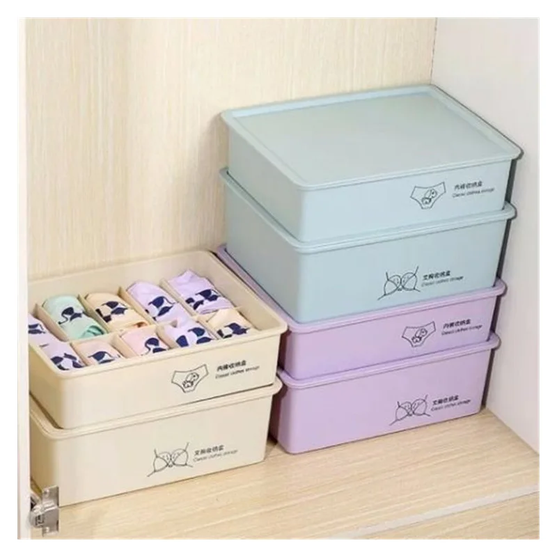 

1 Pcs Girls Underwear Cosmetics Storage Box Storage Drawer Dormitory Bra Socks Underwear Combination Organizer