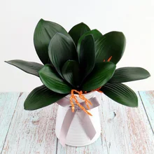 Hot 1Pcs Phalaenopsis leaf artificial plant leaf decorative flowers auxiliary material flower decoration Orchid leaves wholesale