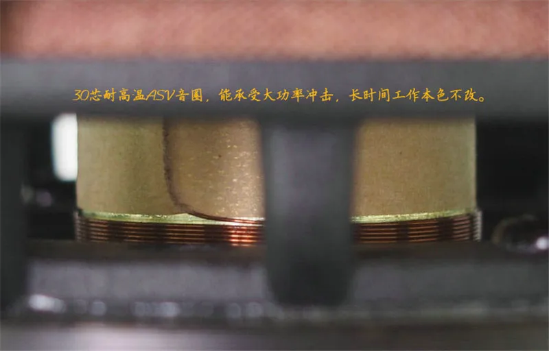 Sounerlink Audio Labls 6.5 inch speaker driver10