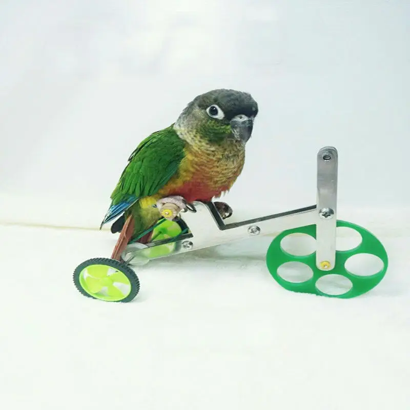 Обучающая игрушка для попугаев, принадлежности для попугаев, оборудование для попугаев