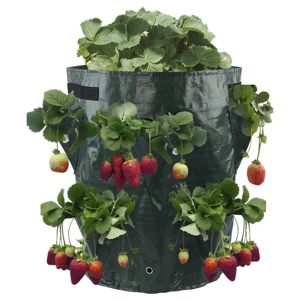 Картофельная сажалка для клубники мешки для выращивания картофеля на открытом воздухе вертикальный сад подвесной открытый стиль для овощей, огородная сумка для выращивания - Цвет: Strawberry Bag