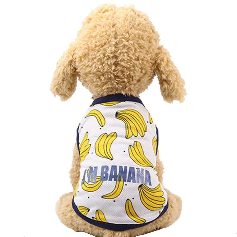 Clothing Summer Dog Strawberry, Banana Design Tshirt  My Pet World Store