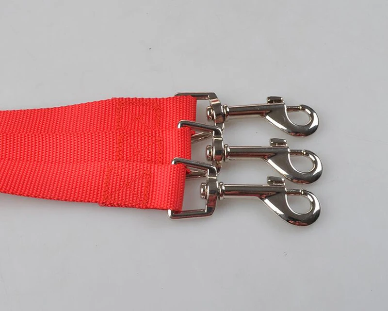 three way dog leashes  (4)