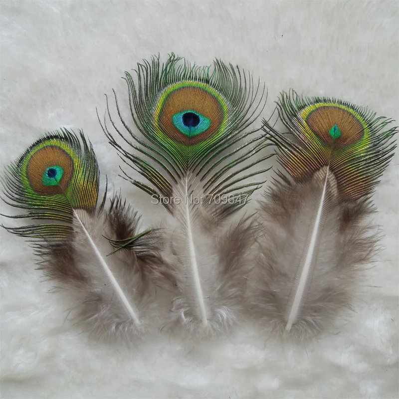 Rare Feathers! 50pcs/Lot 710cm Long NATURAL PEACOCK FEATHERSFly Tying