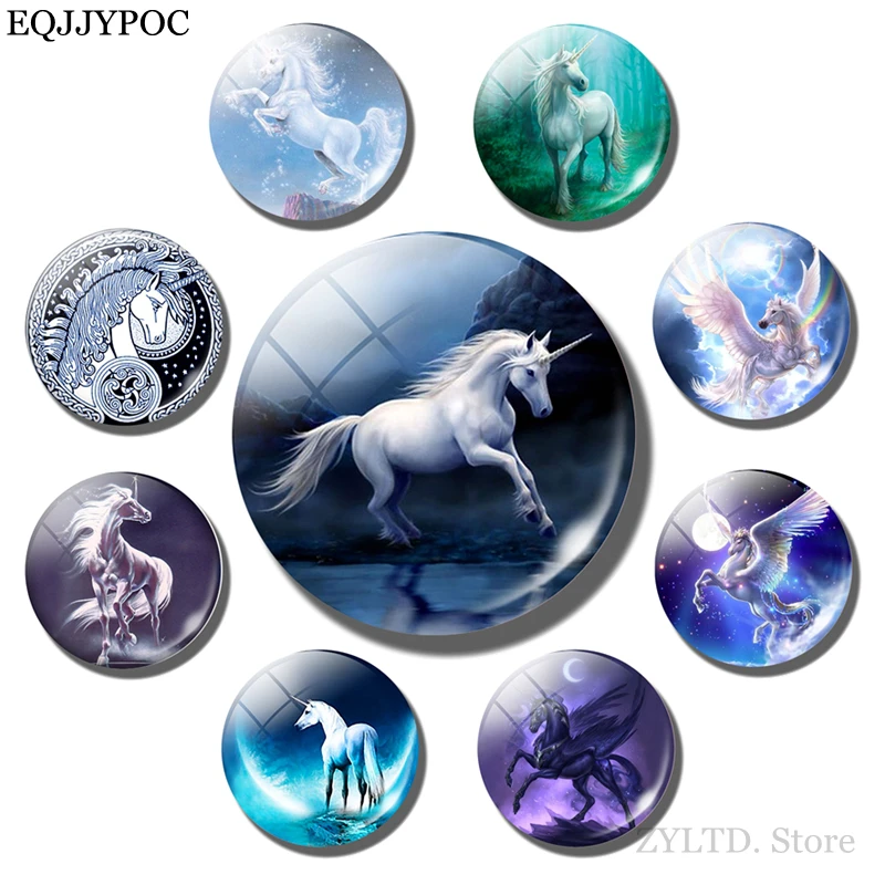 

Horse Fridge Magnet horse stuff refrigerator magnets animal Refrigerator decoration fridge stickers Glass Cabochon Home Decor