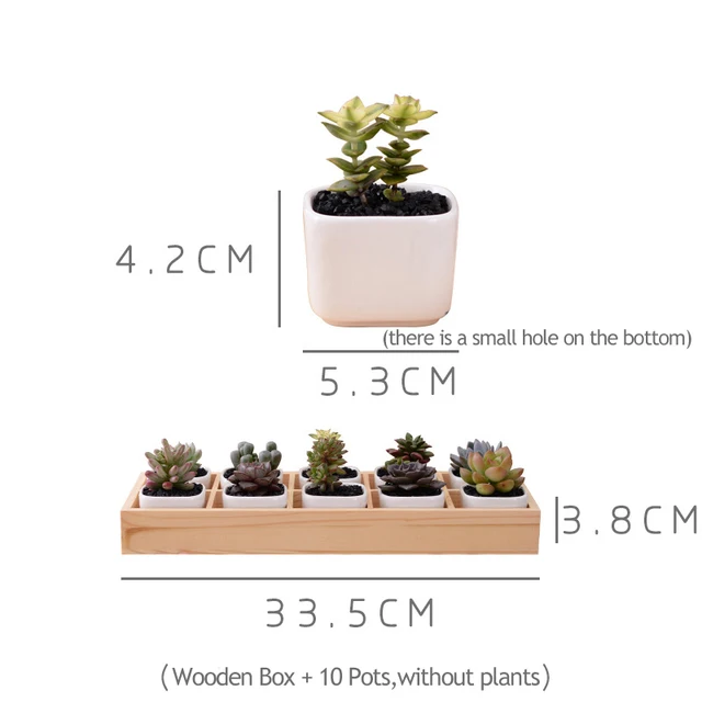 Set of Modern Geometrical White Square Ceramic Succulent Planters Desktop Flower Pots with Tray Home Decoration(10 pots+1 tray )
